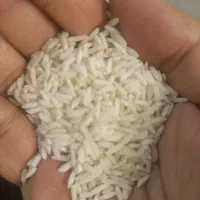 برنج هاشمی معطر آستانه اشرفیه