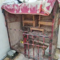 قفس پرنده