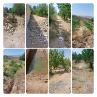 فروش یک هکتار زمین در داسکین