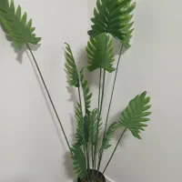 درختچه|گل مصنوعی|بروجرد, |دیوار