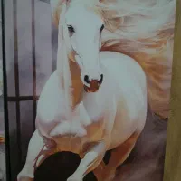 تابلو . نو نو مناسب باغ . ویلا