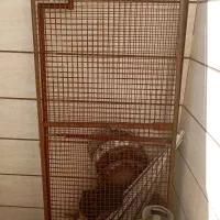 دو عدد حفاظ محکم  استفاده نشده