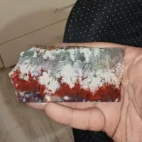 شجر پرچم وطن