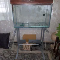 آکواریوم