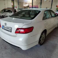 نقاشی مدرن + باغبانیان