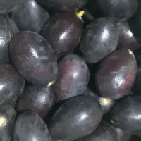 فروش اوکادو