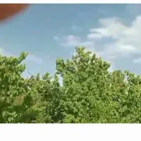 فروش باغ و زمین در روستای ابر