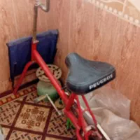 دوچرخه ثابت