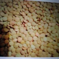 عدس|عمدهفروشی|بجنورد, |دیوار