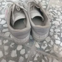 کفش|کیف، کفش، کمربند|دورود, |دیوار