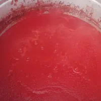 رب خانگی