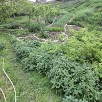 فروش خانه ویلایی