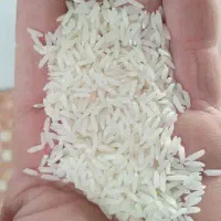 برنج ایرانی طارم