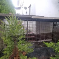 قفس مناسب حیوان خانگی