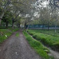 باغچه-فروشی-دنیجرد