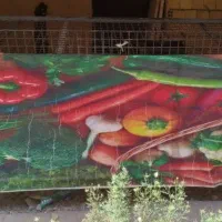 قفسه میوه فروشی