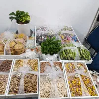 کرایه ی سینی باکس