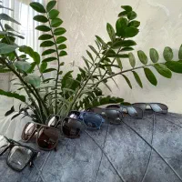 تعدادی عینک پورش دیزاین،جین استین