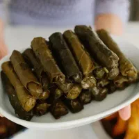 غذای خونگی