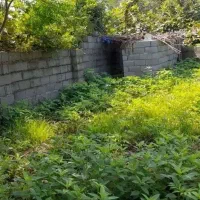 2 قطعه زمین فروشی آماده فروش