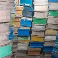 کندو|لوازم جانبی حیوانات|بروجرد, |دیوار