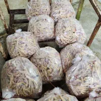 آشغال گوشت تازه و چیزه های دیگه  اورده