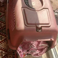 باکس گربه و سگ