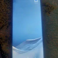 شیامی ردمی ۱۲c