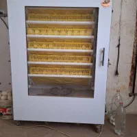دستگاه جوجه کشی جهت باز کردن تخم پرنده شما