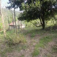 زمین مسکونی فروشی در روستای گنجار|فروش زمین و ملک کلنگی|احمدسرگوراب, |دیوار