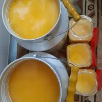 روغن حیوانی گاوی و گوسفندی