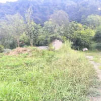 240-متر-مسکونی-دل-جنگل-هیرکانی