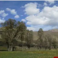 زمین اوقافی روستای یوش