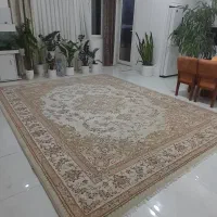 فرش گل برجسته فرهی دوازده متری