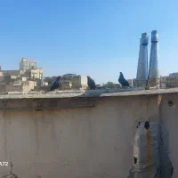 تهرانی قره