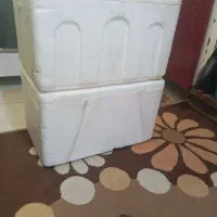 دوعددیخچال مسافرتی