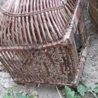 قفس|لوازم جانبی حیوانات|دالاهو, |دیوار