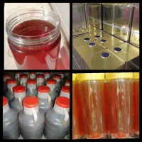 پخش عسل تغذیه