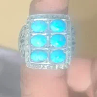 فیروزه نیشابور با شناسنامه