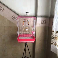 قفس پایه دار