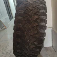 لاستیک‌ کمفورس