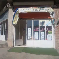 مرغ فروشی