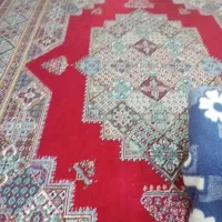 قالی ۱۲متری