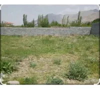 زمین لوبیا