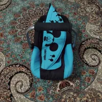کریر بچه سالم