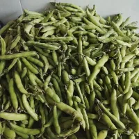 میوه فروشی