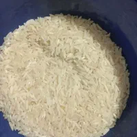 برنج طارم فجر
