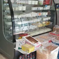 یخچال ایستاده الکترواستیل