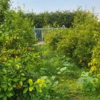 فروش مغازه ۴۸ متری در سیمتری
