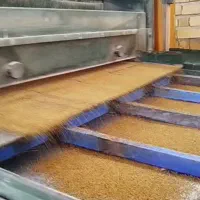 بذریونجه  رنجر آمریکایی،جو